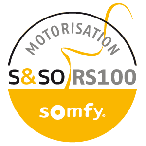 s&so-rs100